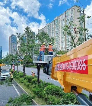 南山附近高空車出租選鑫鵬順現(xiàn)車供應(yīng)車型租金低