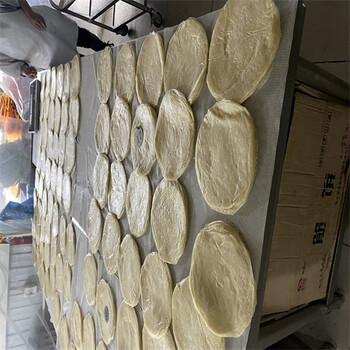 云南全自動烤鴨餅機每周回顧