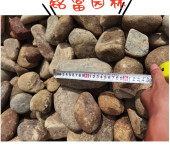 广州鹅卵石小河石厂家园林工程鹅卵石铺装清远鹅卵石地铺石货场