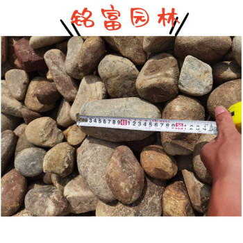 广州鹅卵石小河石厂家园林工程鹅卵石铺装清远鹅卵石地铺石货场