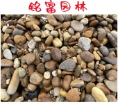 鹅卵石按规格堆放不同规格的鹅卵石批售东莞鹅卵石景观设计