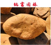 吨位黄蜡石景观石厂家黄蜡石园林工程广东黄蜡石交易市场