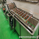 小型金針菇清洗流水線