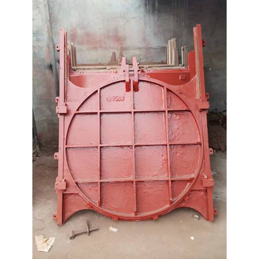 福建DN600鑄鐵拍門