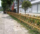 楚雄竹篱笆菜园围栏玉林北流仿竹围栏仿竹护栏图片