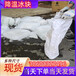 臺(tái)灣澎湖縣工業(yè)冰降溫冰設(shè)備降溫同城配送工業(yè)冰塊