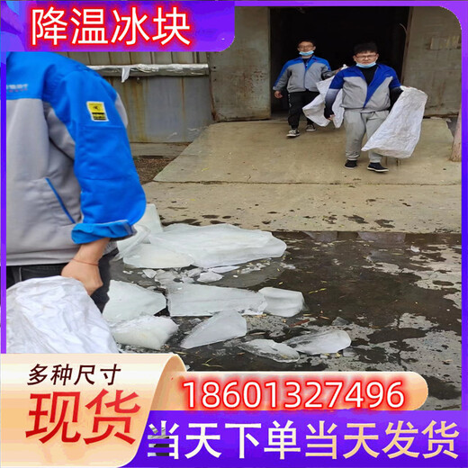 達(dá)州冰快配送達(dá)州食用冰塊達(dá)州降溫冰塊達(dá)州制冰廠達(dá)州干冰配送達(dá)州液氮廠家