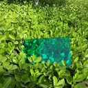 東阿耐力板透明PC板蘭代爾PC工廠