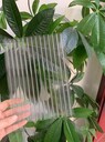 威海PC透明塑料板uv防護威海陽光板