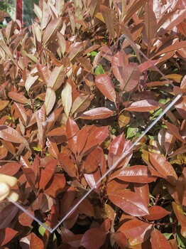 菏澤耐力板塑料抗沖擊PC板菏澤耐力板價(jià)格