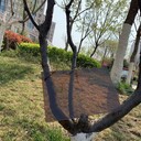 萊蕪透明PC聚碳酸酯板萊蕪耐力板價格