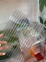 即墨陽光板雙層保溫塑料板材即墨陽光板價格