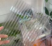 青州阳光板透明塑料板材青州阳光板厂家大棚屋面PC板