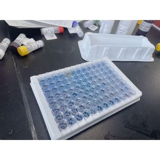 豚鼠巨噬细胞炎性蛋白5(MIP-5)ELISA试剂盒免费代测可定制