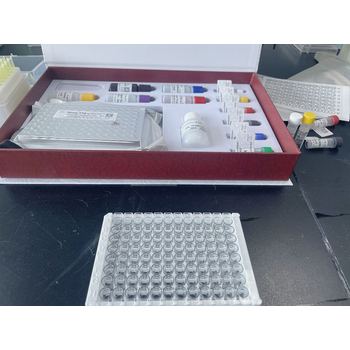 豚鼠VIII型膠原α1(COL8α1)ELISA試劑盒