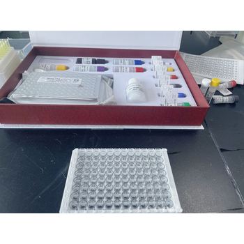 牛纤维蛋白原降解产物(FDP)ELISA试剂盒
