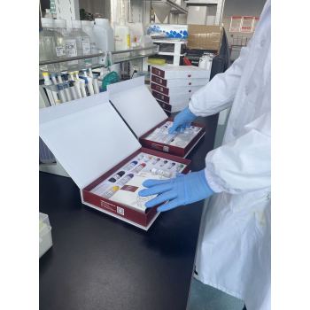 绵羊血管紧张素II受体2(ANGⅡR2)ELISA试剂盒