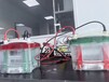 牛胸腺因子(TF)ELISA試劑盒檢測速度快