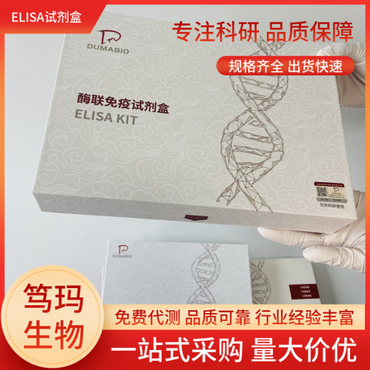 兔突触素(SYP)ELISA试剂盒可按要求定制