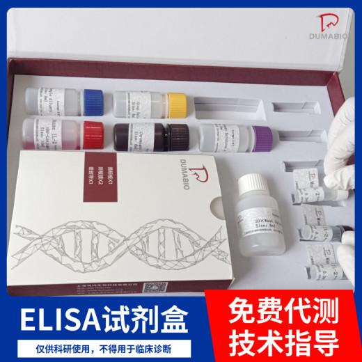 豚鼠VI型胶原α3(COL6α3)ELISA试剂盒