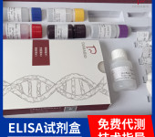 人丝氨酸/苏氨酸激酶TNNI3K(TNNI3K)ELISA试剂盒