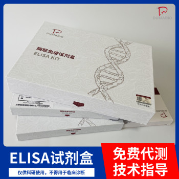 兔信号识别颗粒(SRP9)ELISA试剂盒