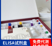 绵羊妊娠相关血浆蛋白2(PAPPA2)ELISA试剂盒