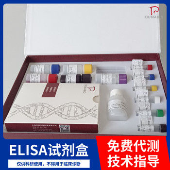 兔双肾上腺皮质激素(DCX)ELISA试剂盒