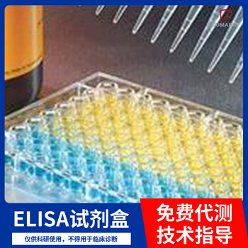 兔α-骨胶原交联(α-CTx)ELISA试剂盒