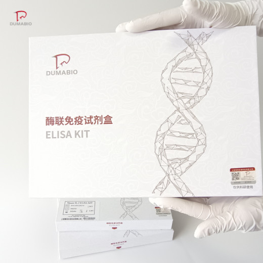 鸡二肽基肽酶X(DPP10)ELISA试剂盒