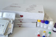 兔组织蛋白酶D(CTSD)ELISA试剂盒