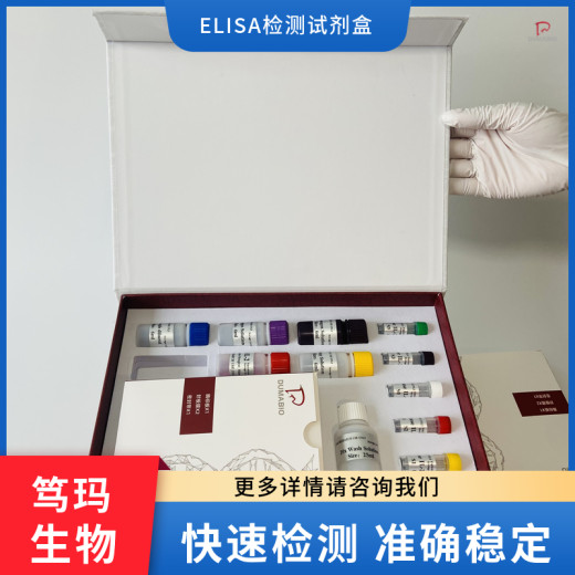 人上皮细胞粘附分子(Ep-CAM/CD326)ELISA试剂盒