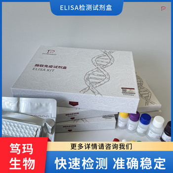 豚鼠β1连接素(CTNNβ1)ELISA试剂盒