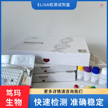 鸡CXC趋化因子受体1(CXCR1)ELISA试剂盒