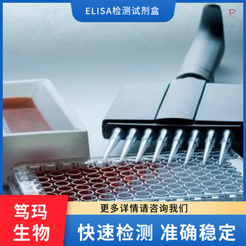 豚鼠白三烯C4(LTC4)ELISA试剂盒免费代测