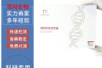 人原鈣黏素β16(PCDHβ16)ELISA試劑盒
