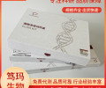 鸡B细胞分化因子(BCDF)ELISA试剂盒