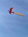 鄭州飛天鳳凰/飛天鳳凰廠家/飛天鳳凰表演