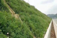 江苏南通边坡绿化客土喷播生态修复土壤团粒剂工程绿化