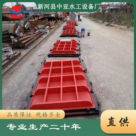 中亞附壁式鑄鐵鑲銅閘門雙向轉動小型水利翻板閘門