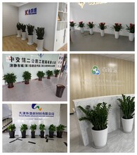 天津綠植租擺公司丨濱海新區(qū)花卉租賃公司丨綠植租賃綠植出租圖片