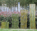 钦州竹篱笆竹子围栏无锡北塘不锈钢仿竹护栏仿竹护栏图片