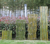 钦州竹篱笆竹子围栏无锡北塘不锈钢仿竹护栏仿竹护栏