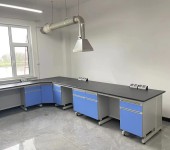 潍坊实验室器皿柜实验室设备供应