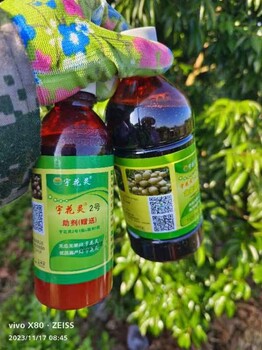 百香果結(jié)果多，果大個(gè)