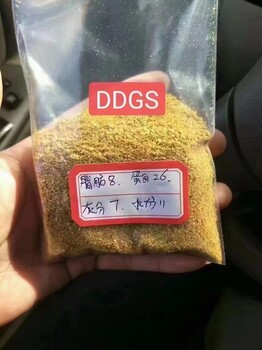 DDGS玉米酒糟
