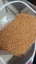 烘干發酵蛋白飼料，替代豆粕圖片