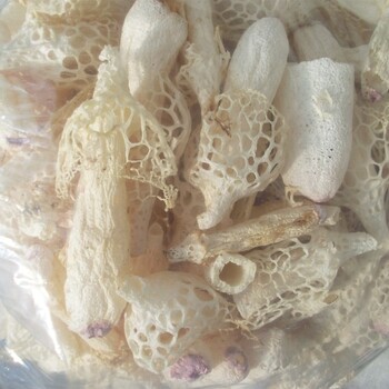 求購香菇杏鮑菇草菇