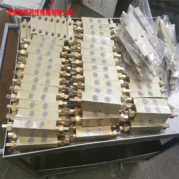 拋落艇液壓雙向平衡閥VBDE/TR120液壓元25220A配件多路閥YZ50-2