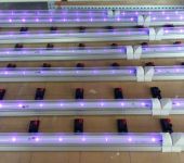 乐亿迪工厂定制紫外线杀菌灯管UVC消毒灯深紫外杀菌消毒灯